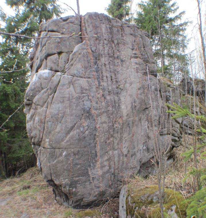 Hieno kivi
