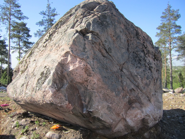 Kivi